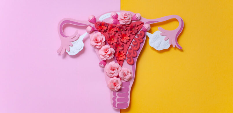 8 Supplements for Endometriosis